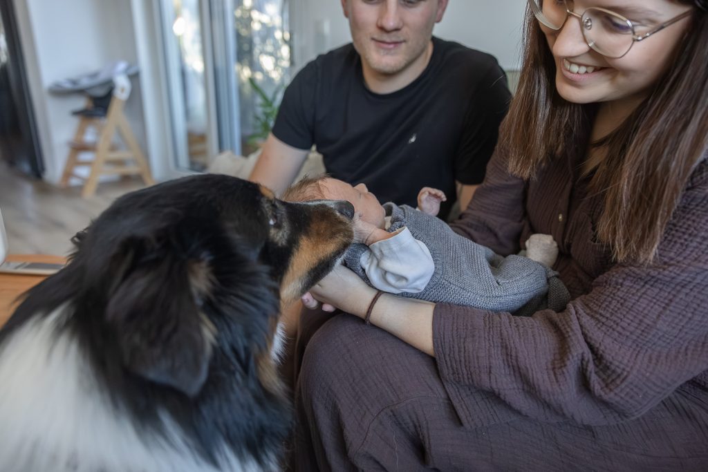 Familie mit Neugeborenem und Hund im Wohnimmer